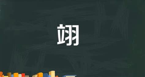 翊名字意思|翊的意思